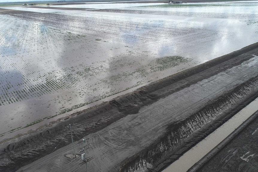 Drone vision of a field covered in water.