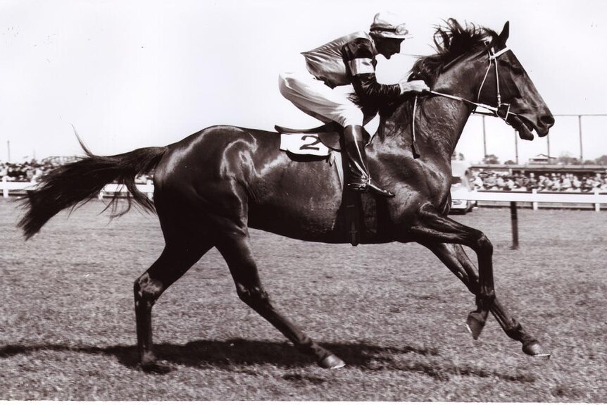 1954 Melbourne Cup winner Rising Fast