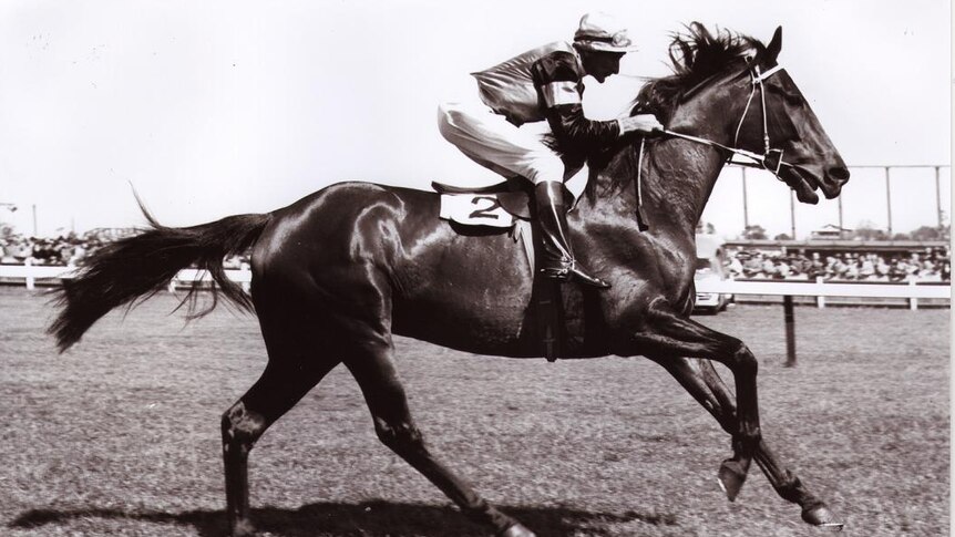 1954 Melbourne Cup winner Rising Fast
