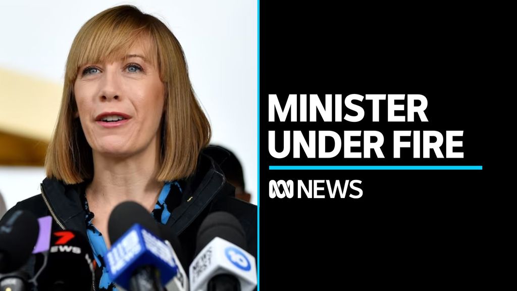 NSW Transport Minister Under Fire For Appointing Former Labor Staffer ...