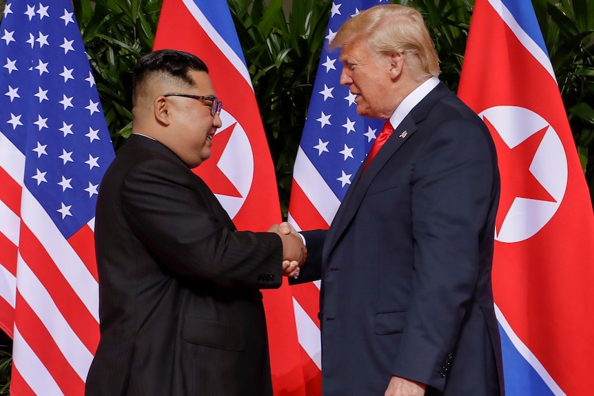 US President Donald Trump shakes hands with North Korea leader Kim Jong-un.