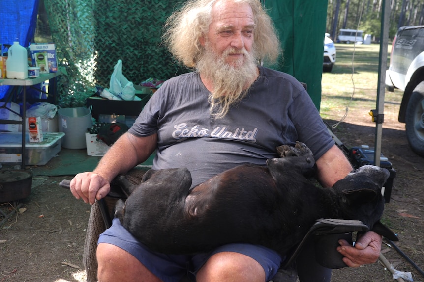 A wild white hair and bearded man sits in his camp chair under an annex of blue tarps with his black dog lying across his lap.