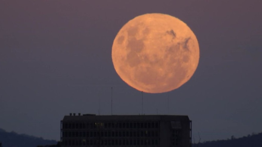 Rare super blood moon lights up skies across Australia