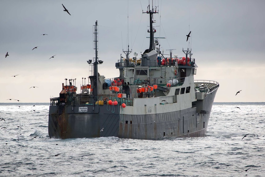 A grey fishing vessel in the Southern Ocean.