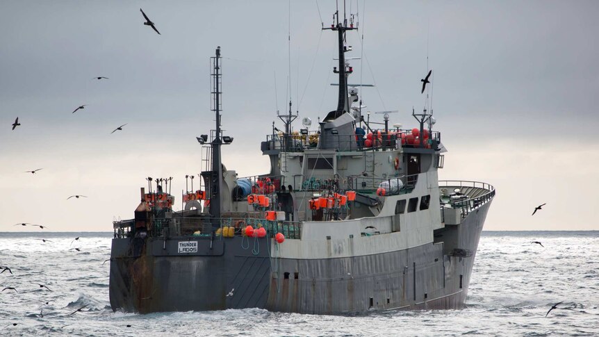 A grey fishing vessel in the Southern Ocean.