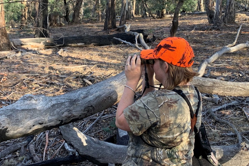 Natasha Holland hunts for deer in Tasmania's Midlands