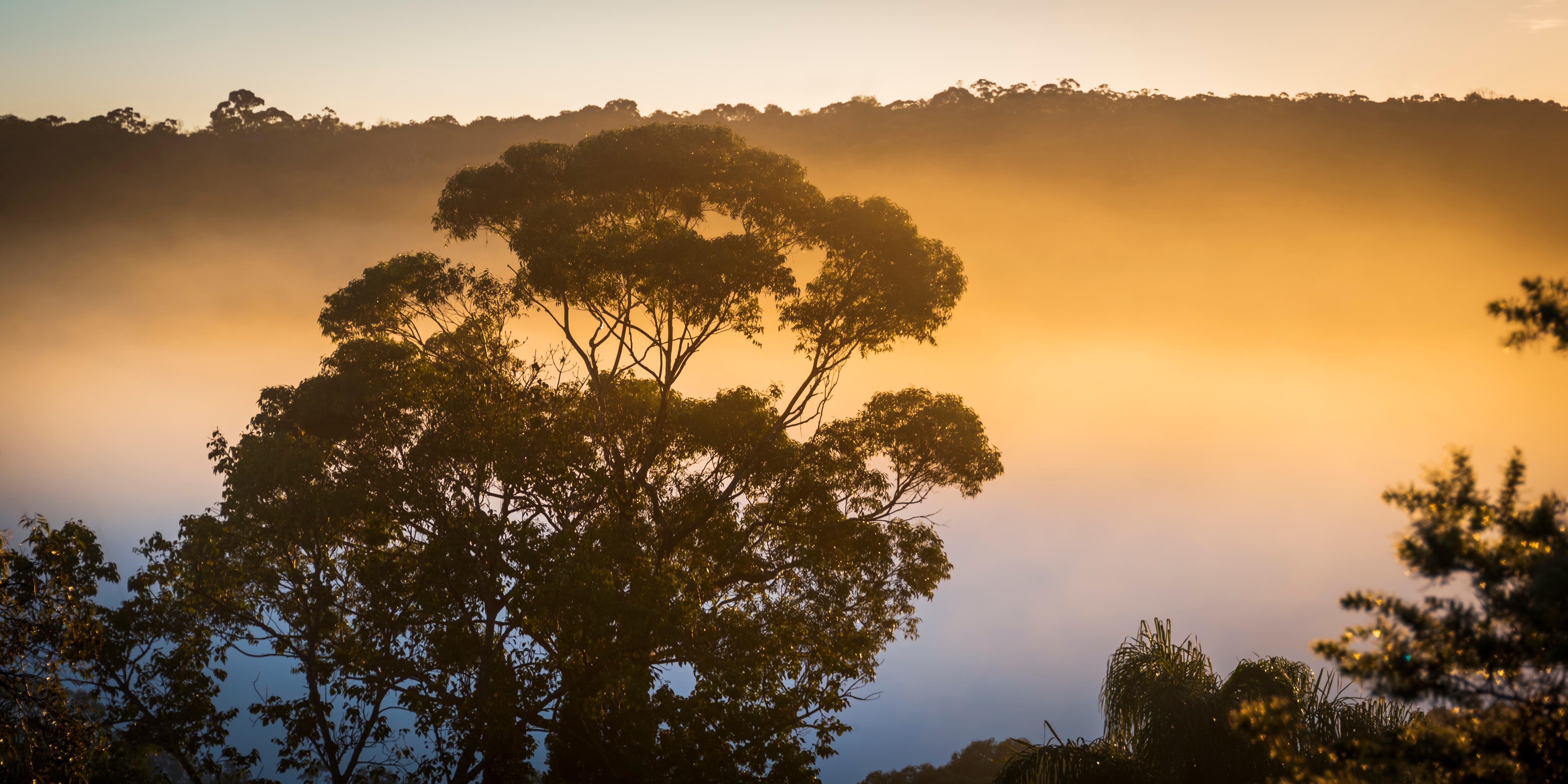 Zen and protest in a changing climate