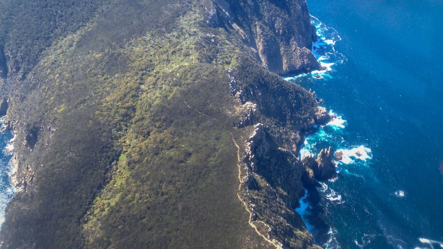 An aerial view of the Three Capes Track
