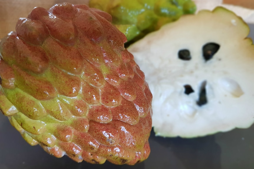 A bright pink PinksBlush fruit and a cut one next to it.