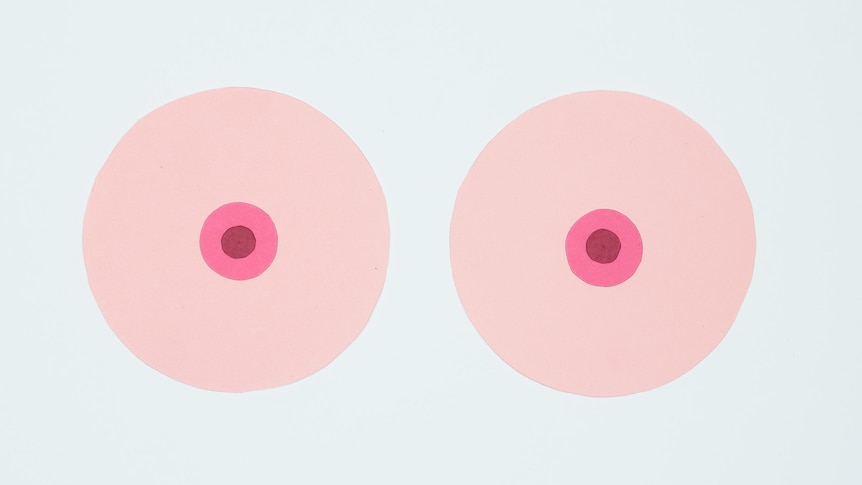 An illustration of two breasts coloured pink on a pale blue background