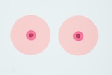An illustration of two breasts coloured pink on a pale blue background