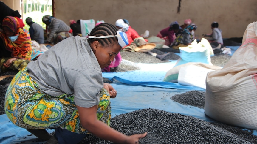 Women sorting through green beans in a warehouse