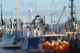 commercial fishing industry, boat on harbour