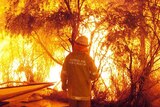 Qld firefighter standing in front of a wall of flames