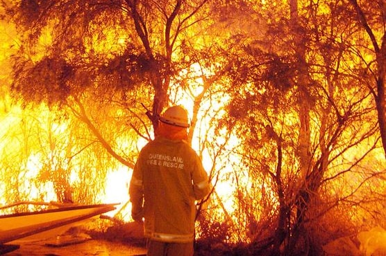 Anonymous Qld firefighter standing in front of a wall of flames in unidentified bushland.