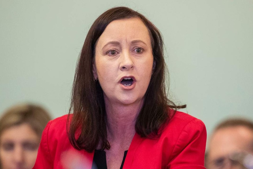 Labor MP Yvette D'Ath speaks during Question Time at Parliament House in Brisbane.