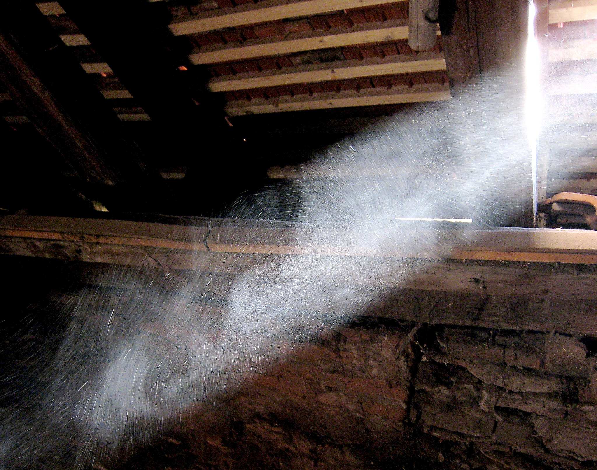 Household dust is being put under the microscope as scientists seek to