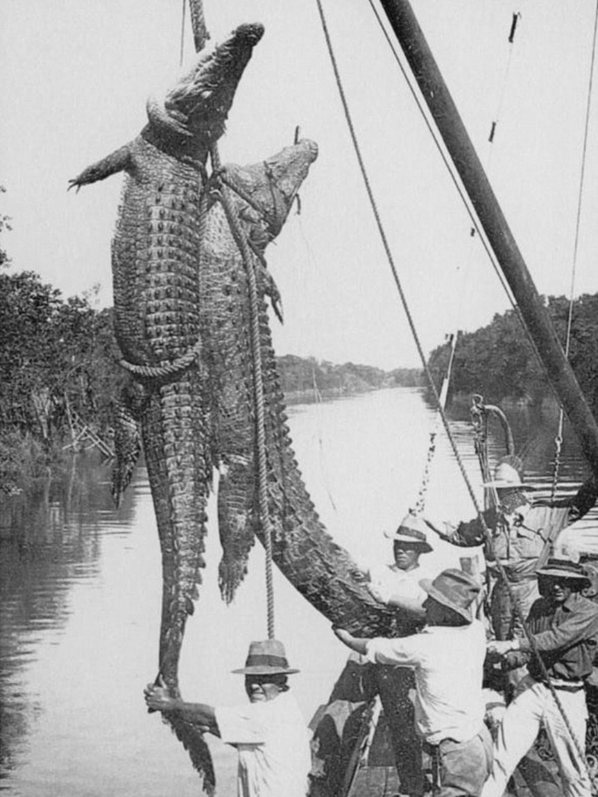 A group of men pull aboard two crocodiles in the Daly River in 1934.