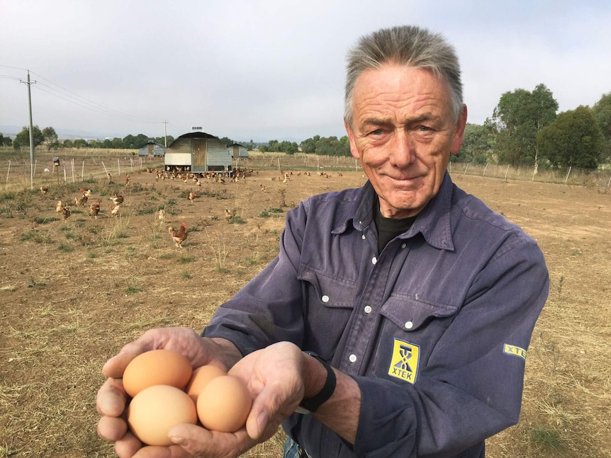 Nick Weber holds eggs at the Majura Valley free range farm.