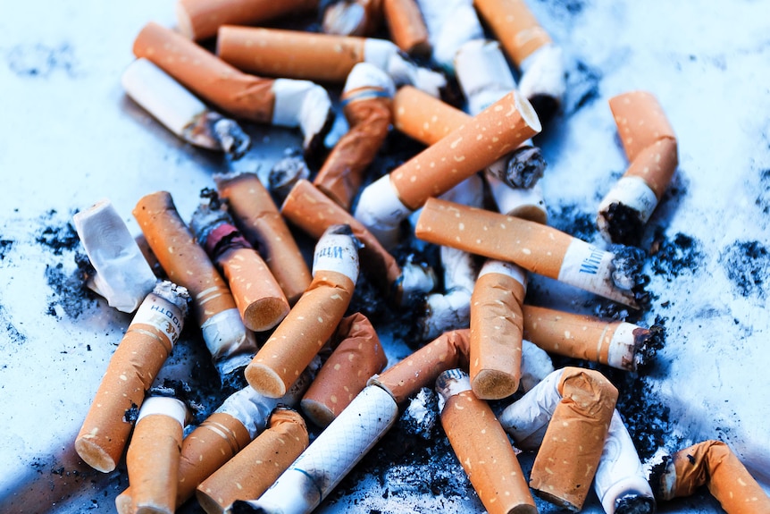 A close-up of used cigarette butts.