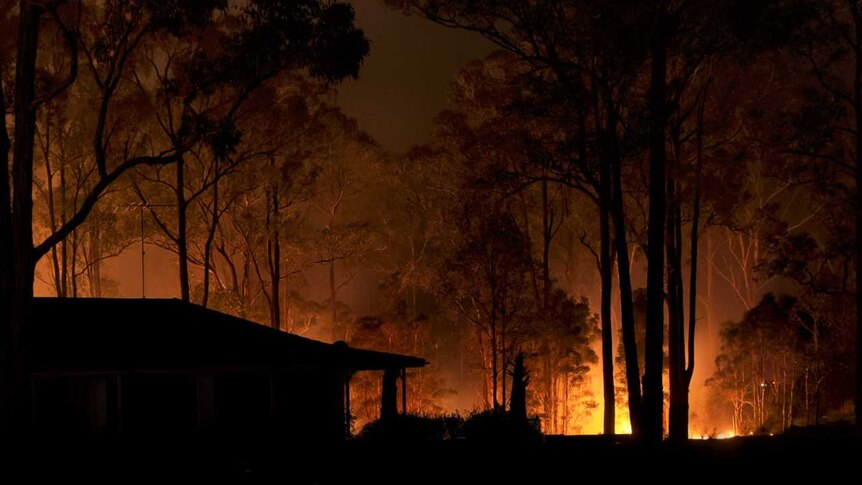 Fire crews back-burn bushland in Sydney's north-west