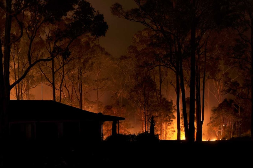 Fire crews back-burn bushland in Sydney's north-west