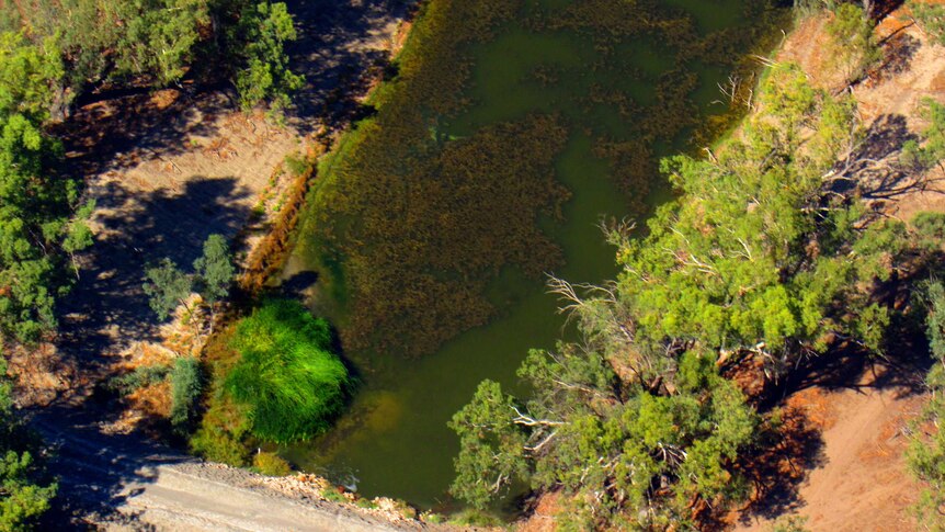 Water in the Darling River taken from the air.