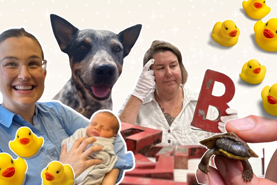 cut outs of people smiling, animals, and rubber ducks on a cream background