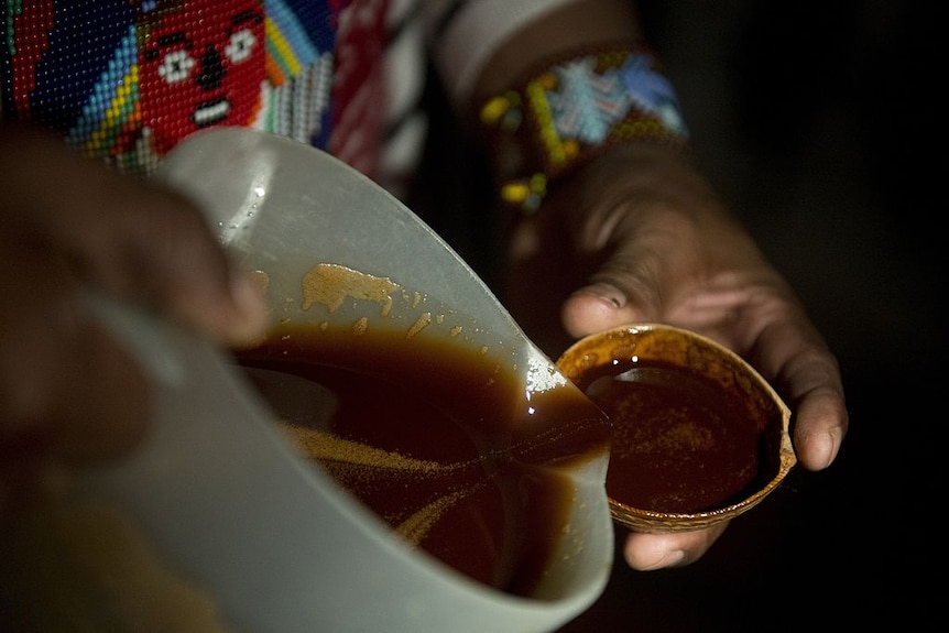 ayahuasca tea