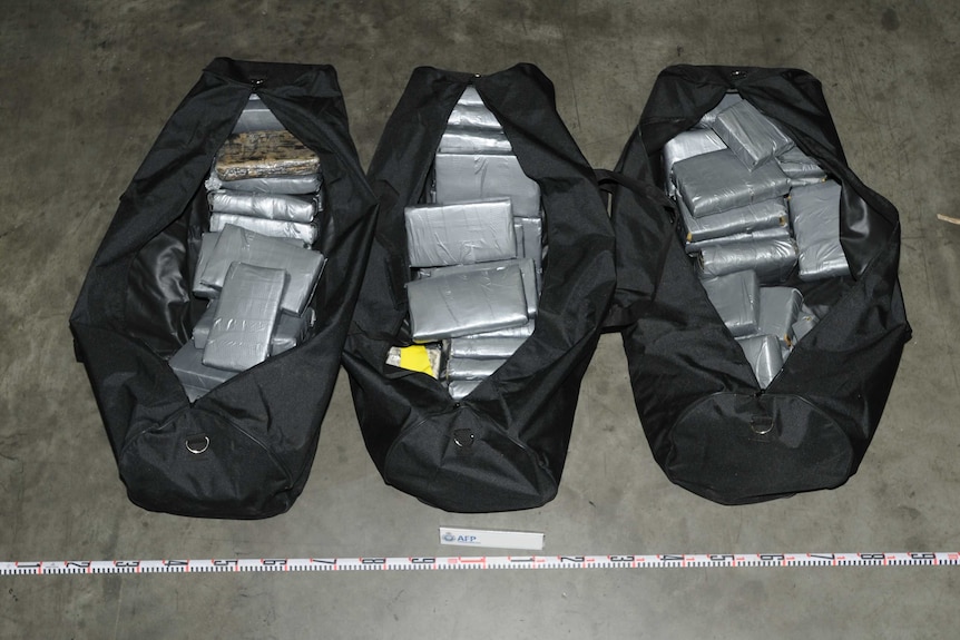 Bricks of cocaine wrapped in duct tape, which were found inside duffle bags on a shipping container.