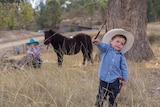 A toddler boy in a blue check shirt and cowboy hat cracking a whip in front a tree and horse and girl in the background