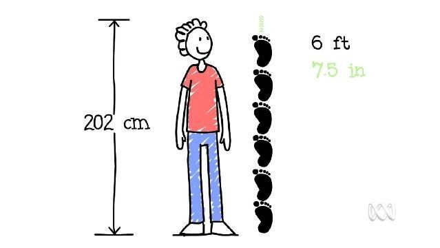Cartoon man stands beside footprints stacked to his height