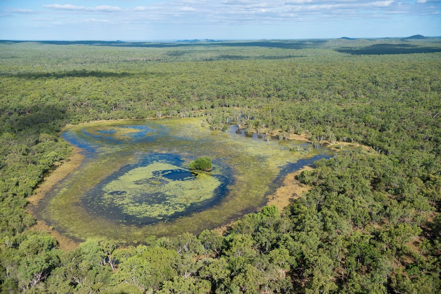 Wetlands on Cape York near Laura