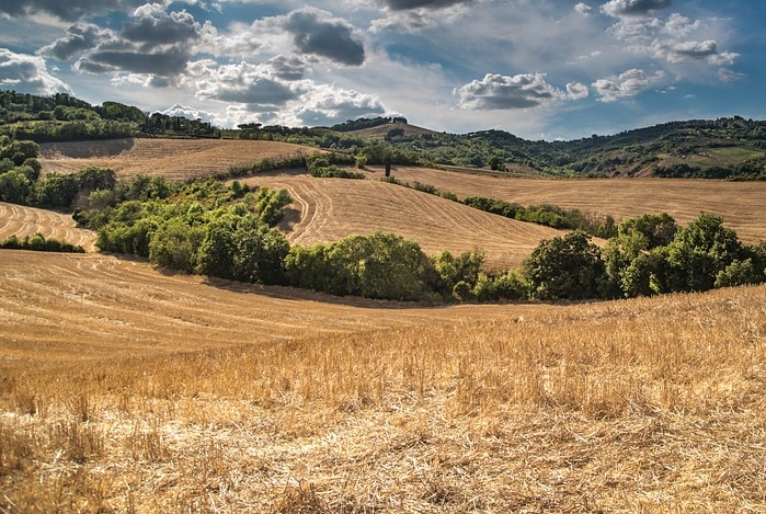 Dry, open farmland in Tasmania, generic image.