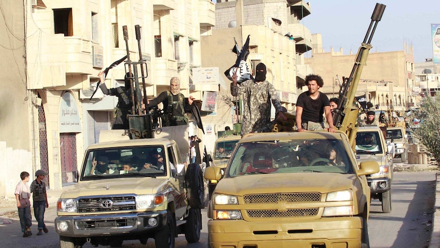 Islamic State fighters parade in northern Syria on June 30 2014