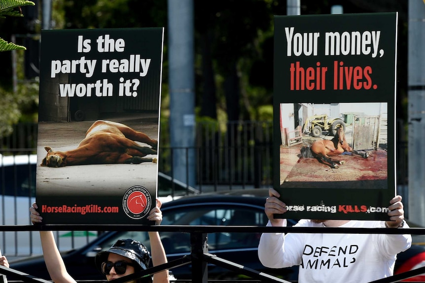 Protesters hold up signs outside Royal Randwick ahead of The Everest horse race.