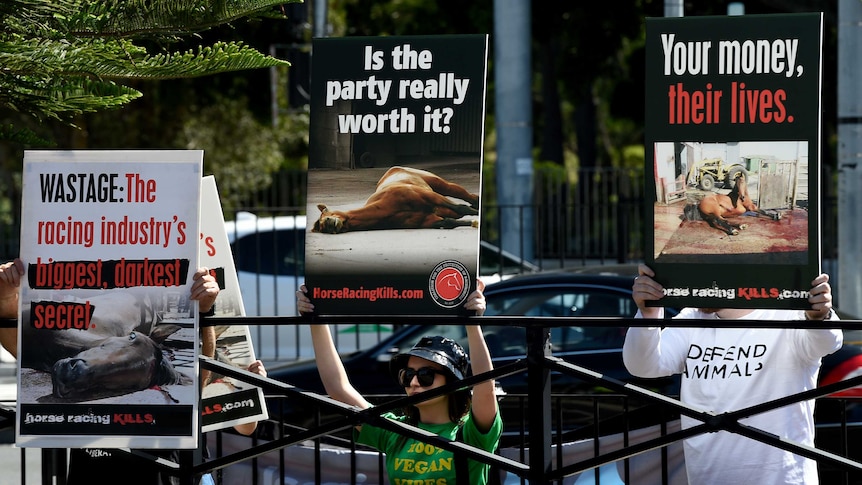 Protesters hold up signs outside Royal Randwick ahead of The Everest horse race.