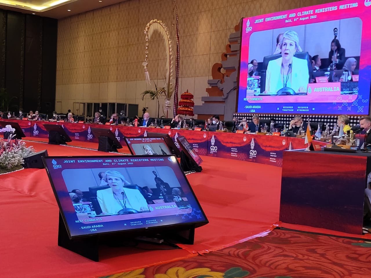 In a large ornate meeting room filled with delegates, Tanya Plibersek's face is projected on a screen as she speaks.