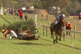 Second horse destroyed after jumps racing