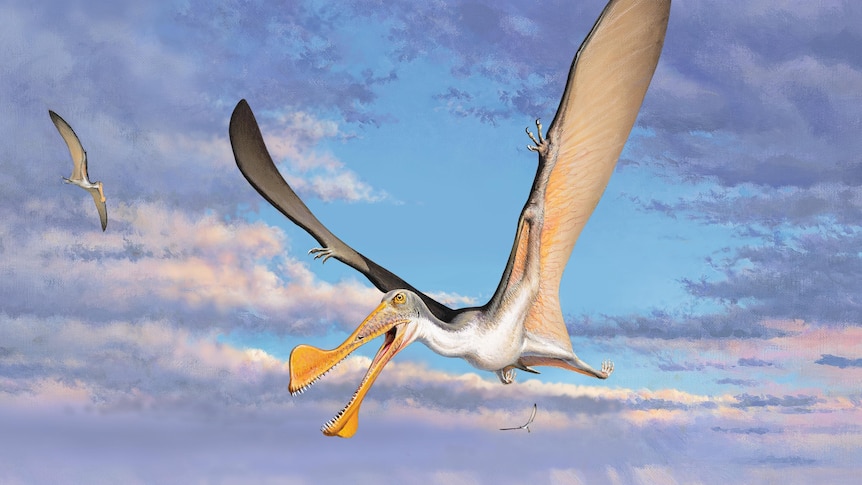 Artist impression of a pterosaur flying over a beach