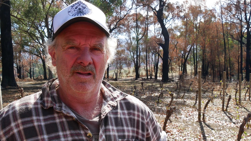 Andrew Clarke stands in front of burnt grapevines.