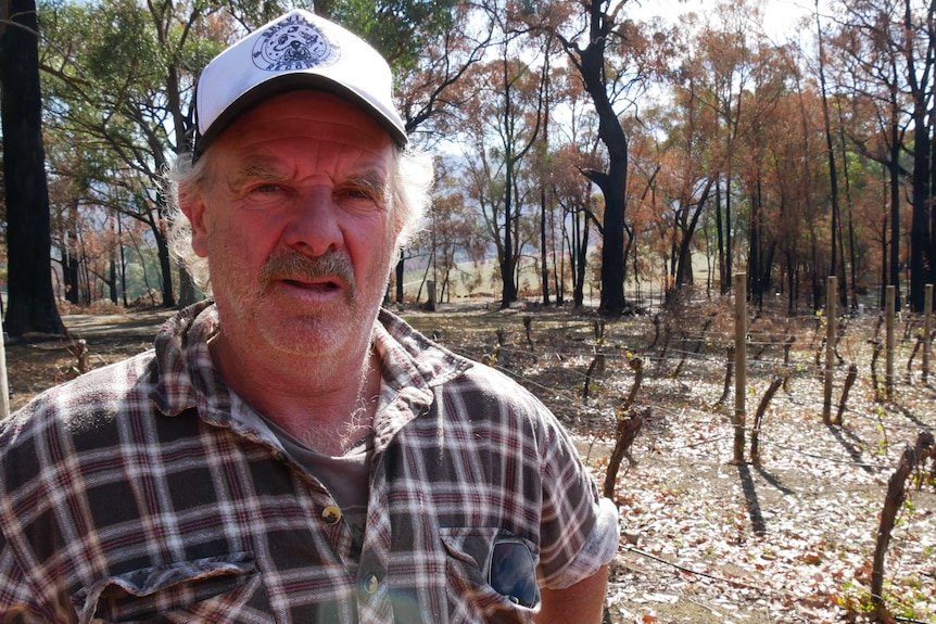 Andrew Clarke stands in front of burnt grapevines.