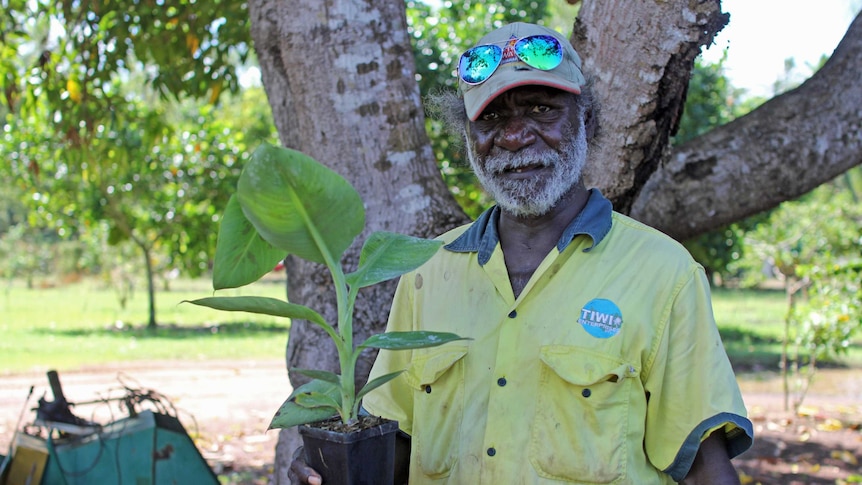 a man holding a banana plant