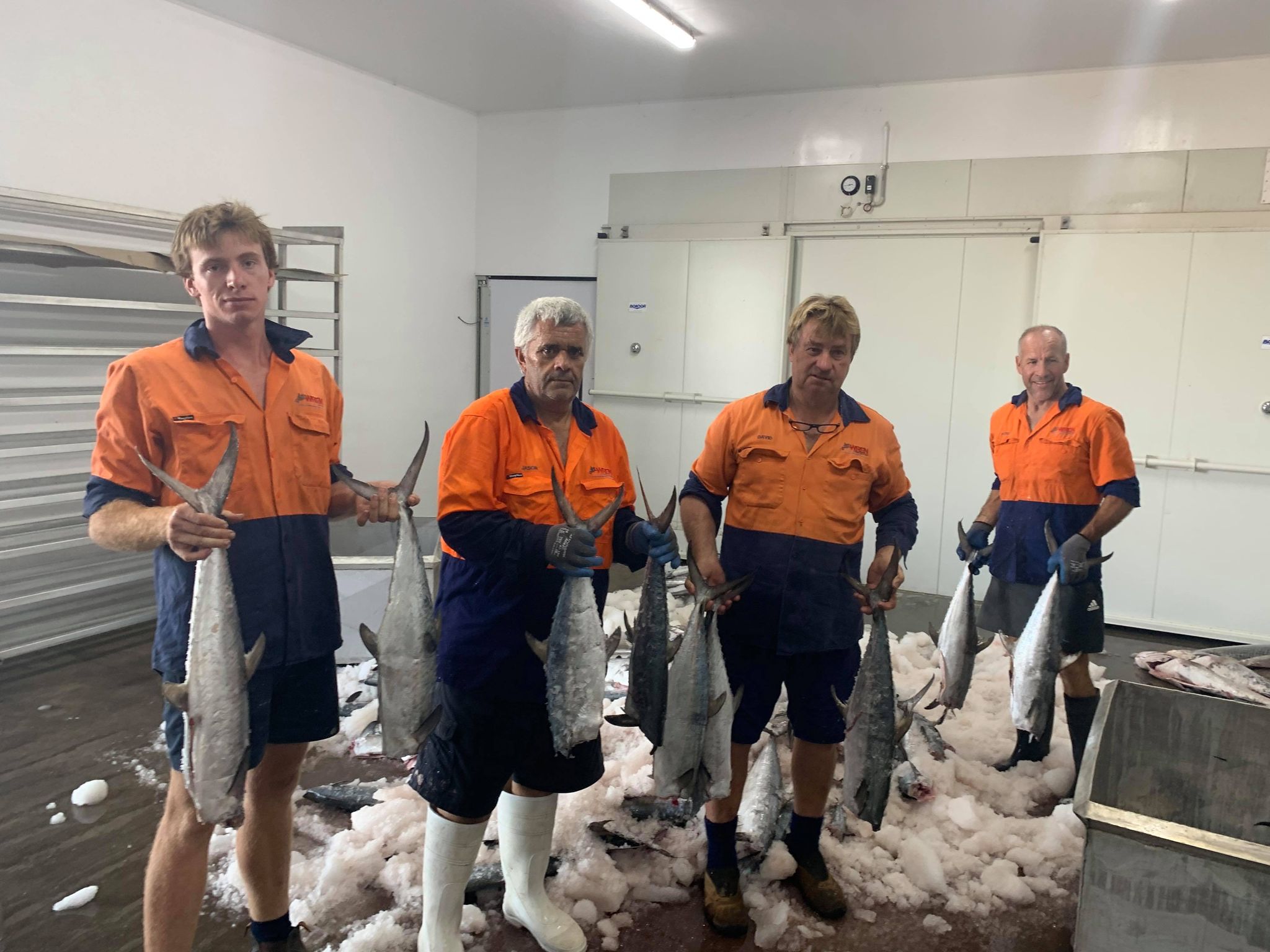 A group of fishermen holding grey mackerel stand in a room
