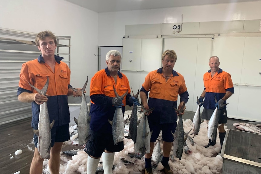 A group of fishermen holding a gray mackerel stand in a room