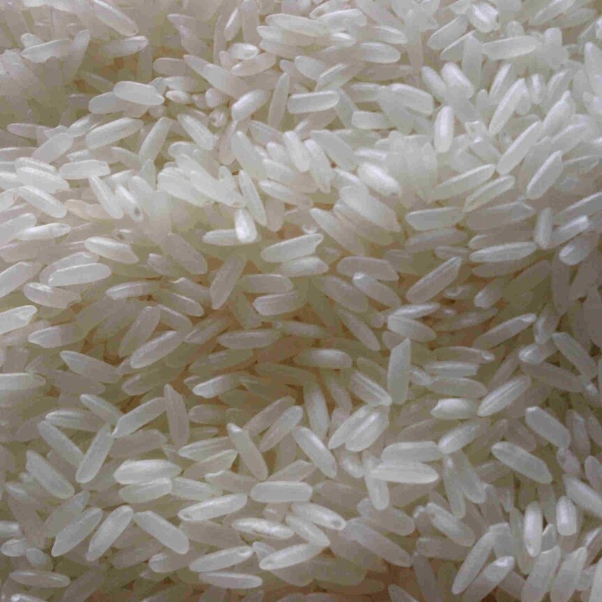 Tight shot of grains of rice.