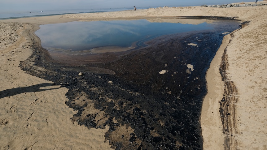 A small inlet in Huntington beach is shown choked with dense, black oil.