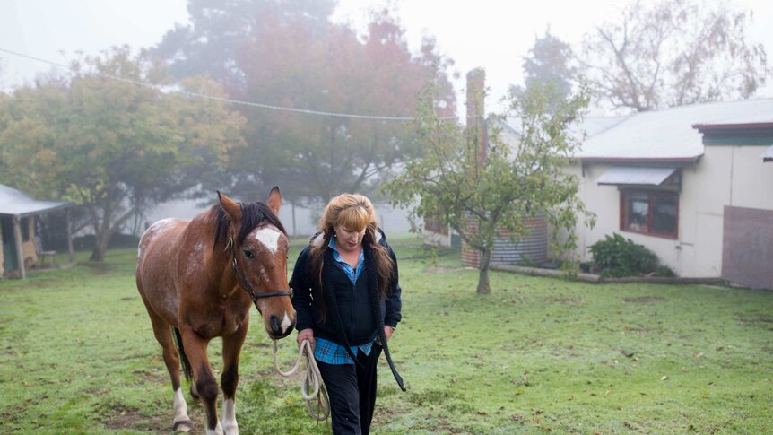 A woman leads a horse on a property with her head down on a misty day.