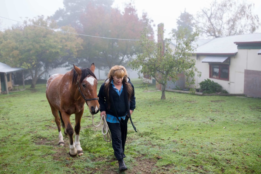 A woman leads a horse on a property with her head down on a misty day.