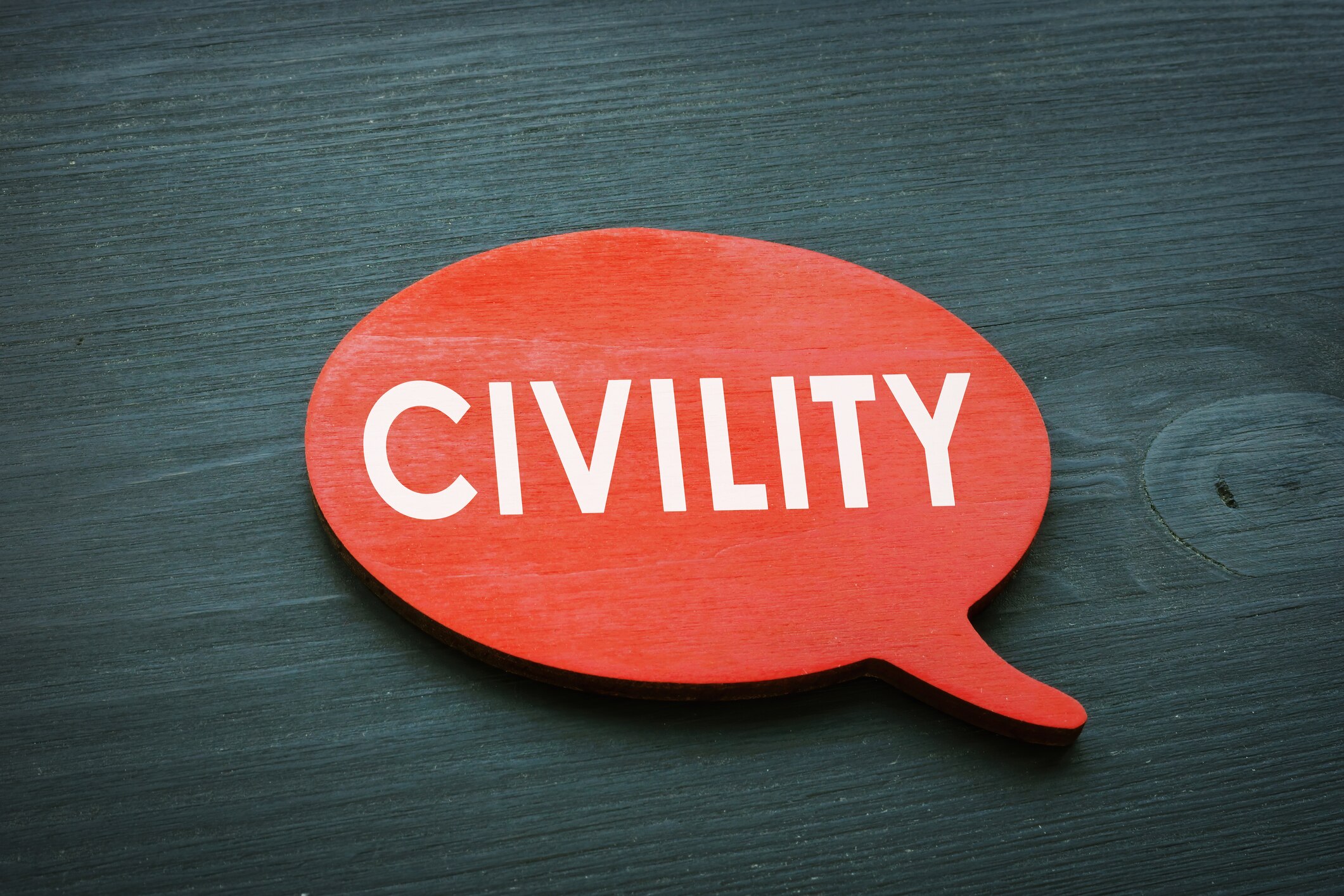 Is civility a moral obligation in a democracy?